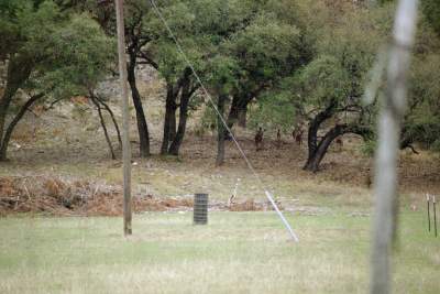 TEXAS SIGHTSEEING6.JPG